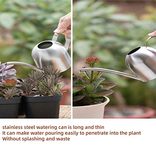 Premium Stainless Steel Watering Can for Indoor Plants - 500ML Modern Design with Long Spout - Perfect for Houseplants, Gardens, and Home Decor