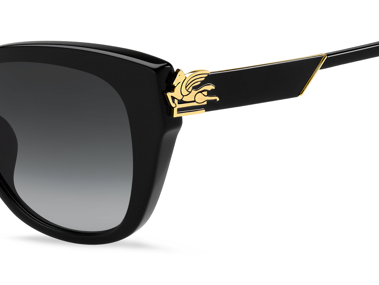 Etro 0062 F S Women's Luxury Sunglasses - UV Protection Fashion Shades for Outdoor Activities, Beach & Driving
