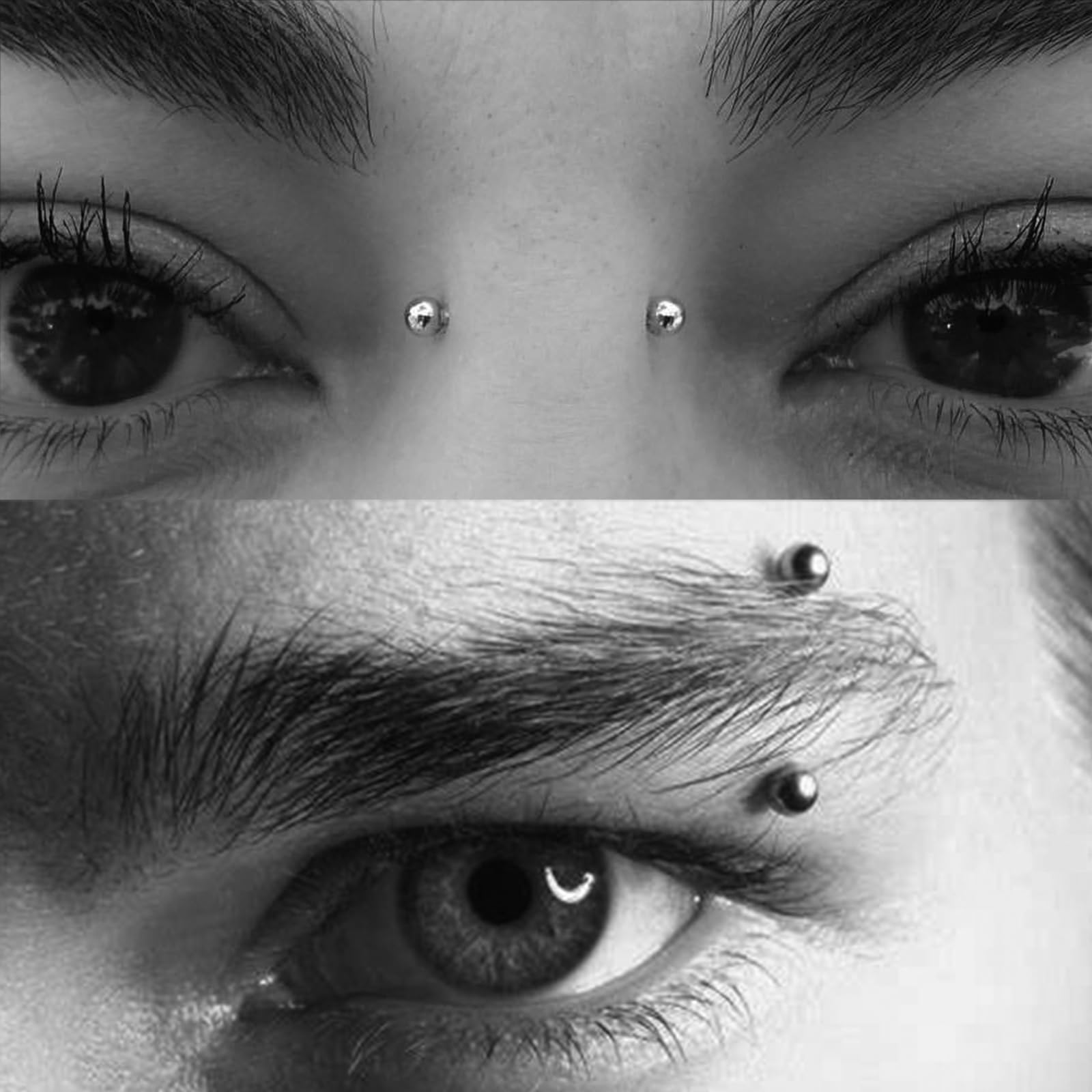 MODRSA 16G 14G Surgical Steel Rook Piercing Jewelry - Curved Barbell Earrings for Women, Gold & Silver Eyebrow Rings, Vertical Labret, Daith, Tragus & Snug Piercings - Hypoallergenic Body Jewelry for Everyday Wear & Special Occasions