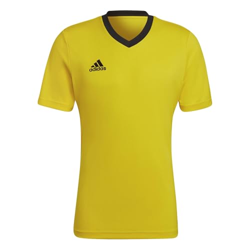 Team Yellow/Black