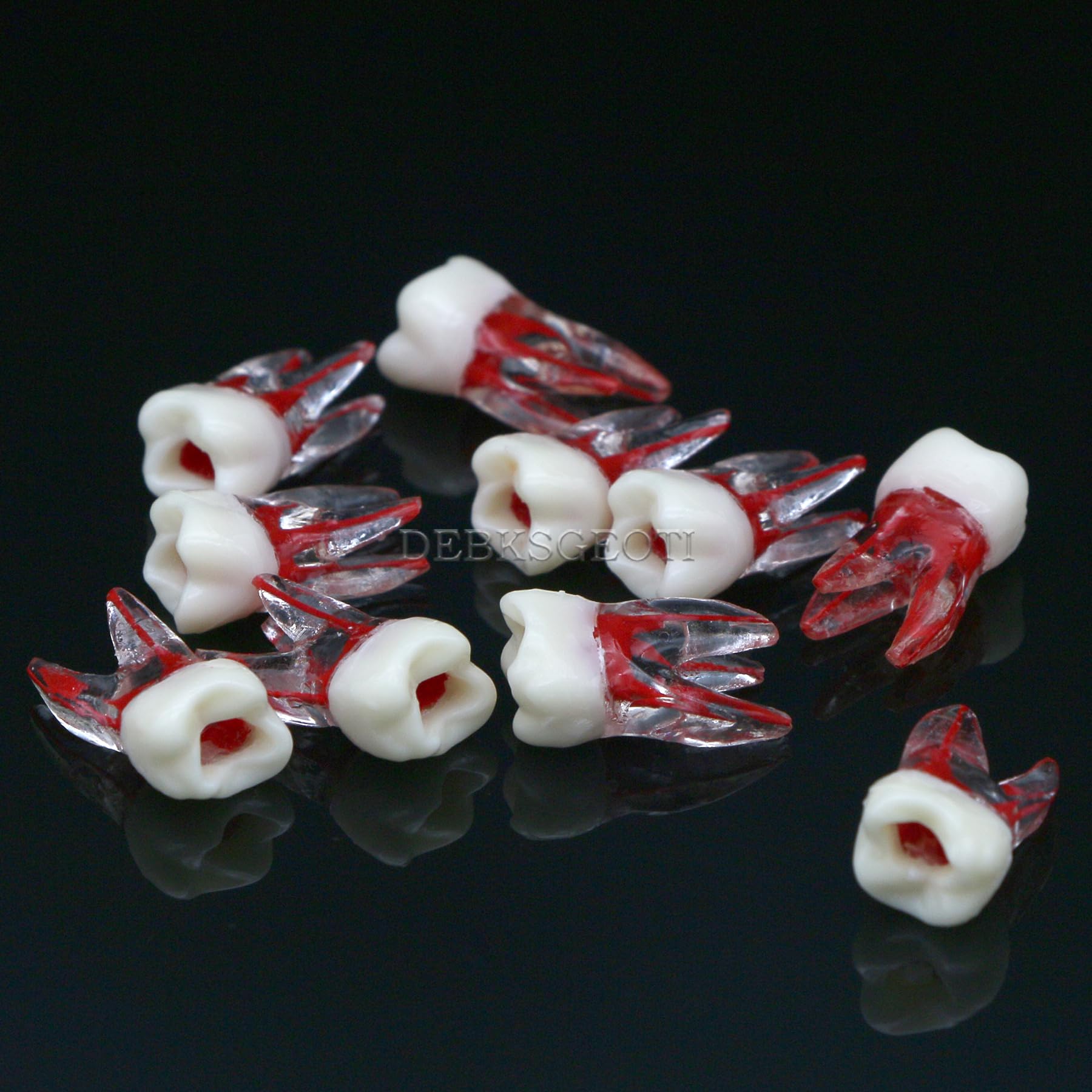 10Pcs Dental Root Canal Practice Teeth Model - 1:1 Typodont Standard M8008 for Endodontic Training, Study & Teaching | Perfect for Dental Students, Professionals & Classroom Demonstrations