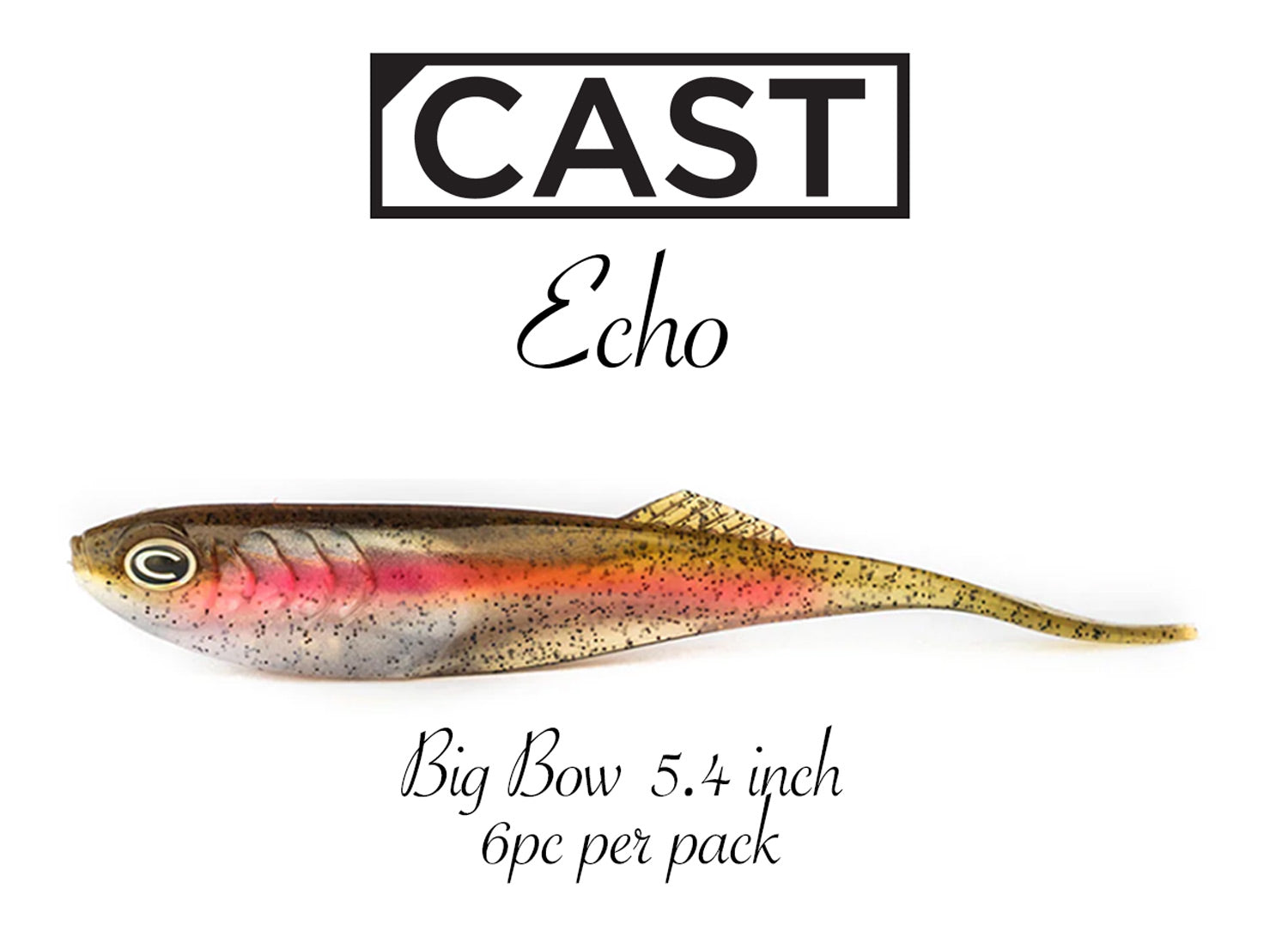 CAST Echo Soft Plastics - Premium Fishing Lures for Bass, Trout & Walleye | Slow Sinking Bait for Freshwater & Saltwater Fishing | Ideal for Casting, Jigging & Trolling Techniques