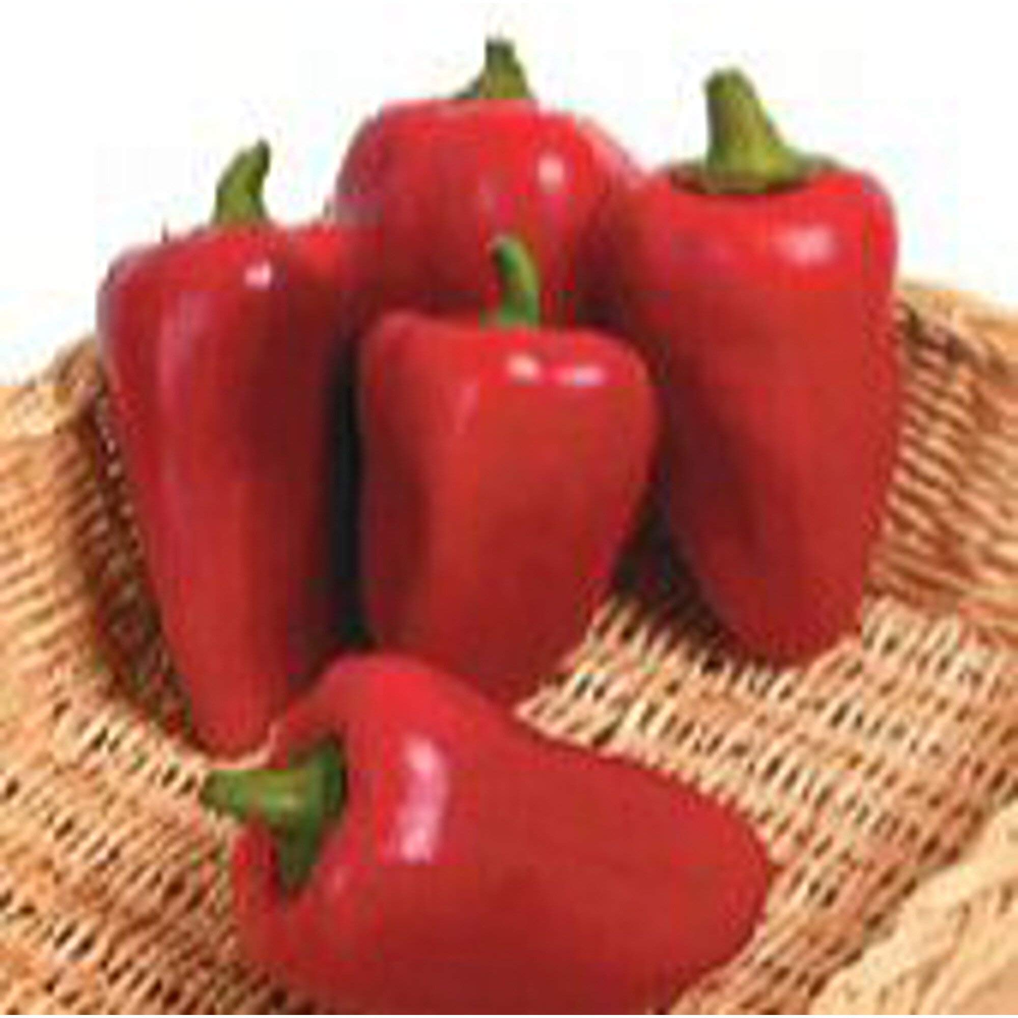 Heirloom Lipstick Sweet Peppers Seeds - Non-GMO Vegetable Garden Seeds (25+ Seeds Pack) for Home Gardening, Container Planting & Fresh Cooking
