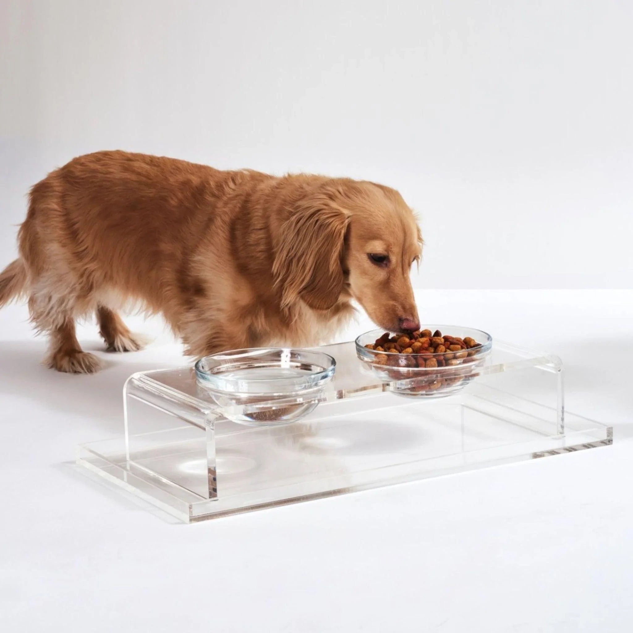 Clear Double Dog Bowl Feeder with 1 Quart Glass Bowls - Non-Slip Stainless Steel Stand for Large & Small Dogs - Perfect for Kitchen, Dining Room, or Outdoor Use