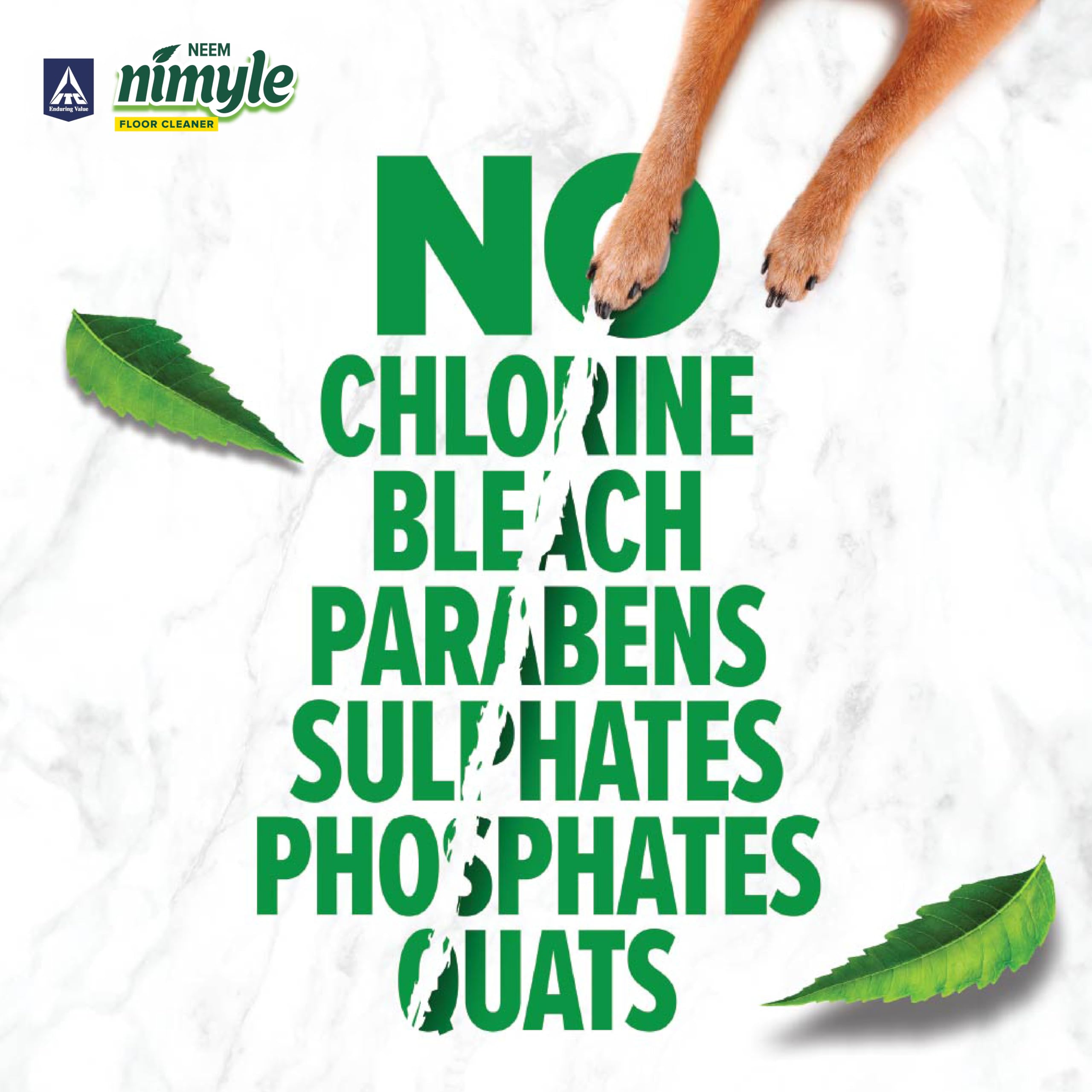 Nimyle Eco-Friendly Herbal Floor Cleaner 890ml - Natural Neem Power for 99.9% Antibacterial Protection | Safe for Hardwood, Tile & Laminate Floors | Perfect for Homes with Kids & Pets