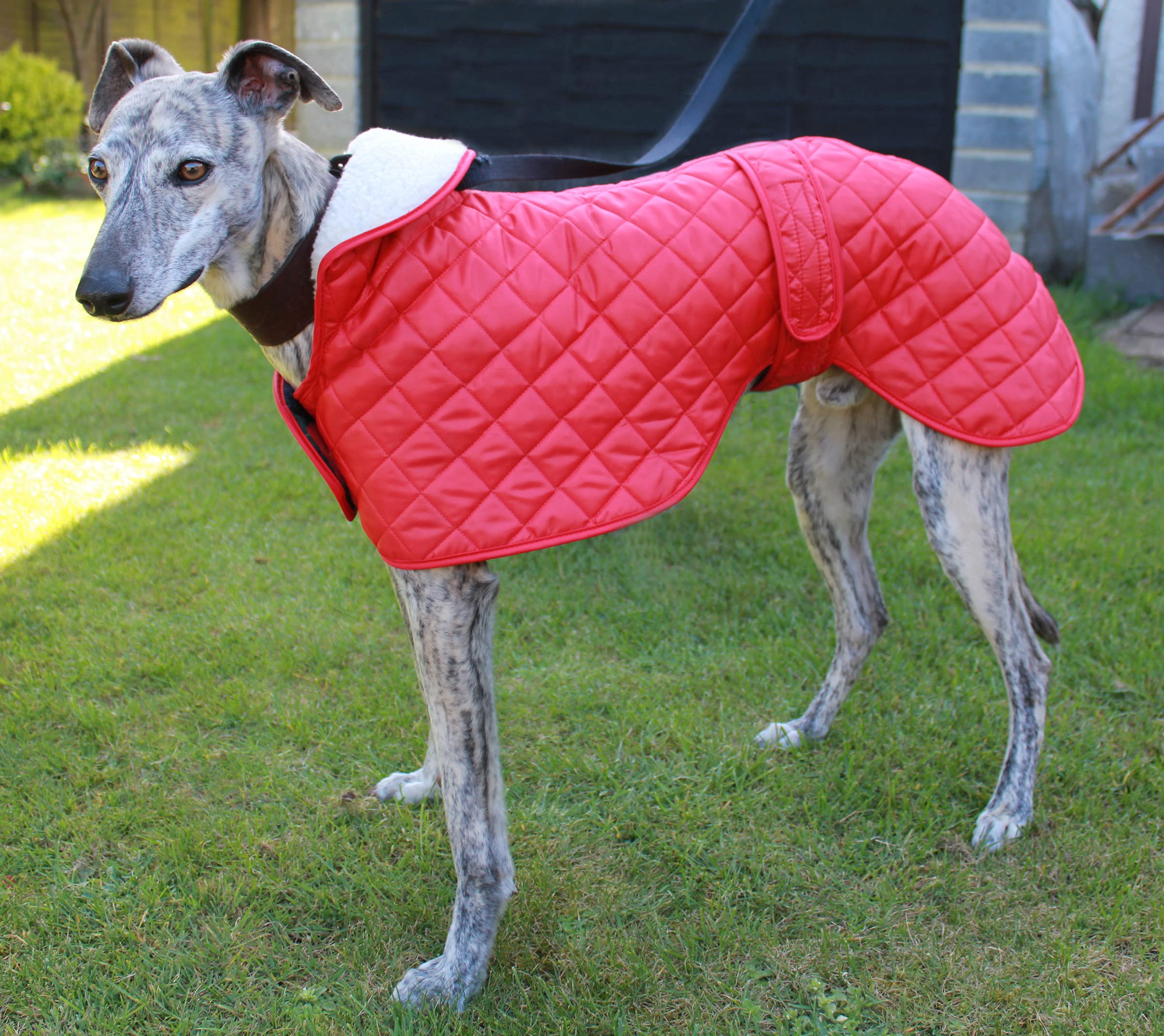Greyhound Anorak Nylon Coat - 66cm Waterproof Windbreaker Jacket in Red | Perfect for Outdoor Hiking, Camping & Winter Sports