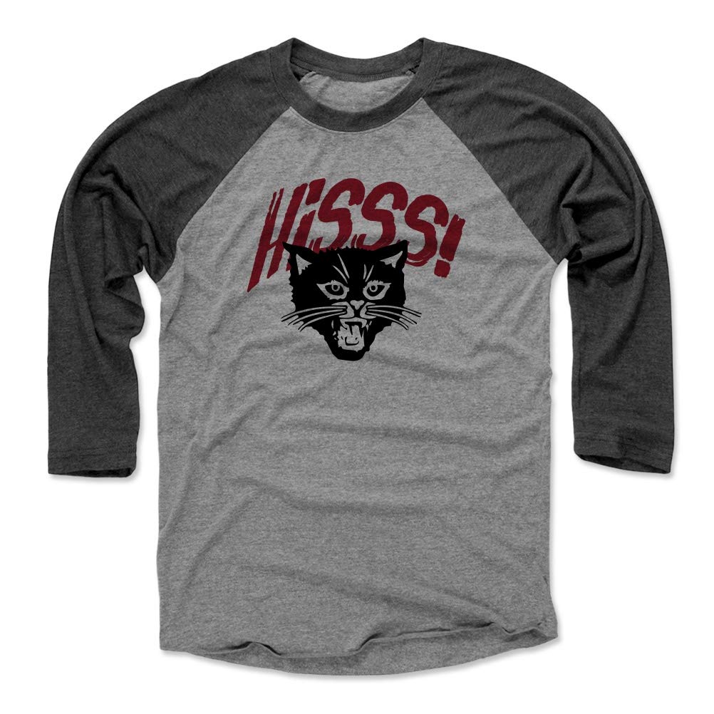 Black Cat Shirt - Hiss Tee for Cat Lovers & Halloween