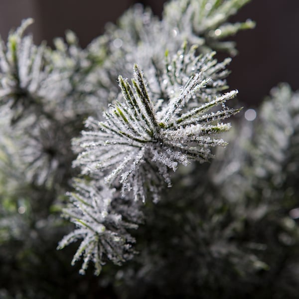 16 Pack Artificial Iced Pine Stems - Green Winter Decor with Frosted Tips (Set of 36) for Christmas Tree Decorations, Wreaths, and Holiday Centerpieces