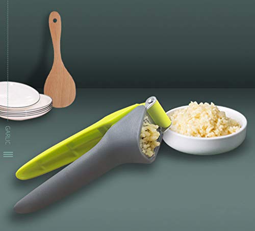 WOIWO Stainless Steel Garlic Press - Manual Kitchen Gadget for Easy Garlic Puree - Durable & Simple Household Garlic Crusher - Perfect for Cooking, Baking, and Meal Prep