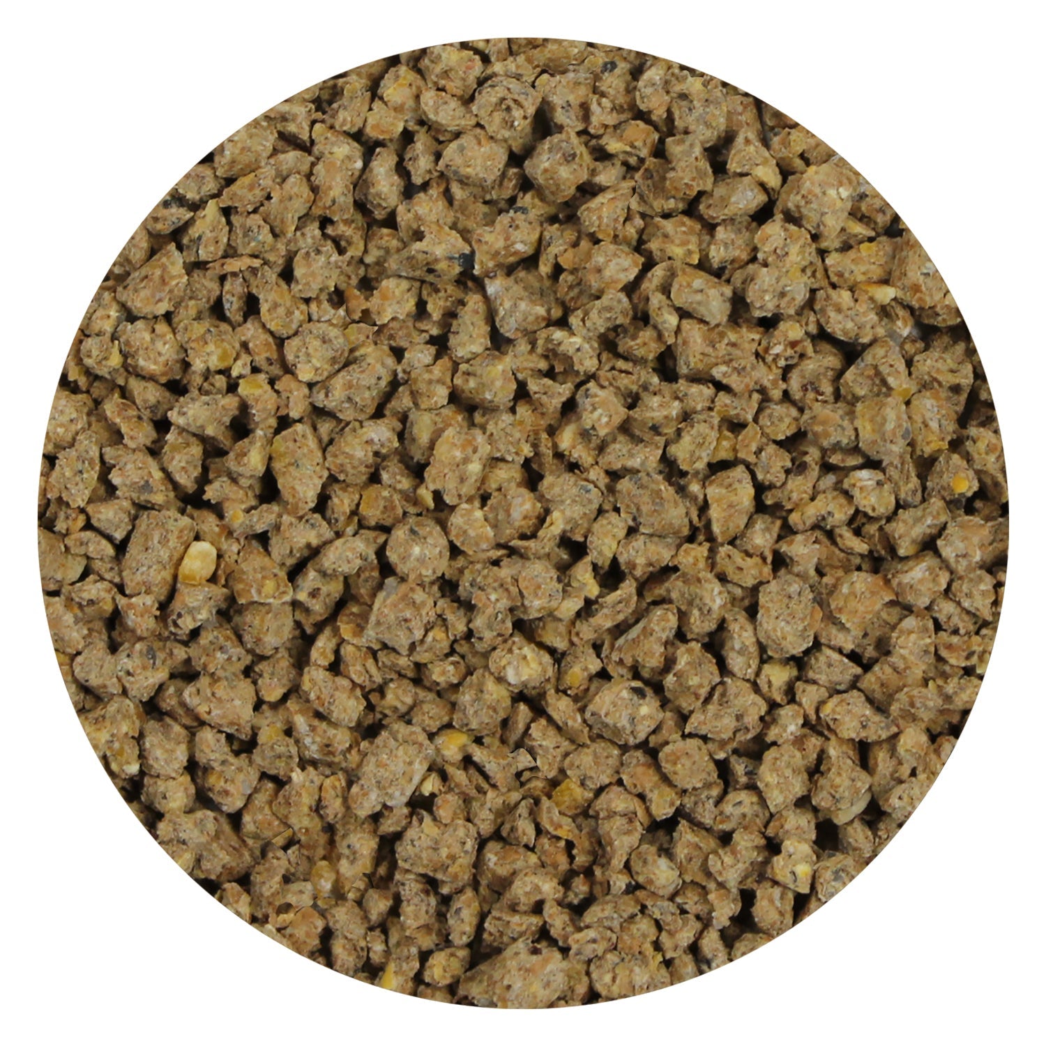 Premium Live Mealworm Food - High Protein Mealworm Chow for Reptiles, Birds & Fish | Ideal for Feeding Bearded Dragons, Chickens & Aquarium Fish