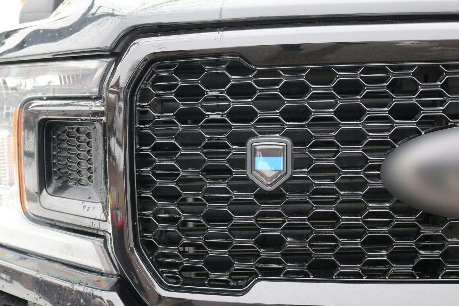 Don't Tread on Me Flag Chrome Emblem 2.6x3.1