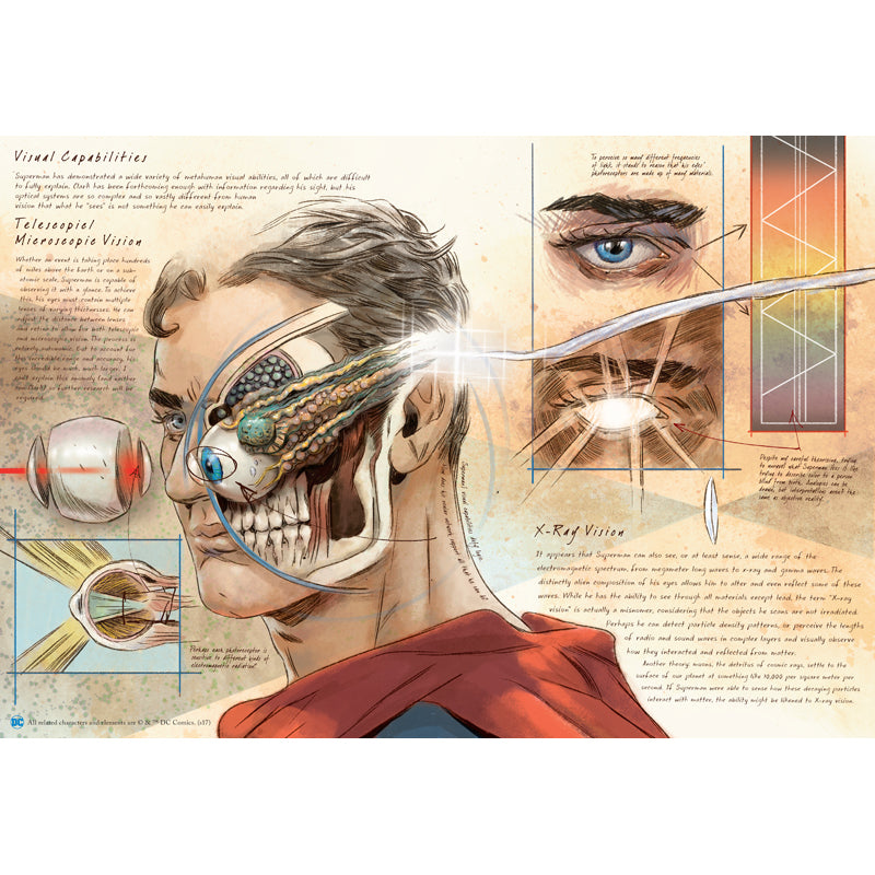 DC Comics: Anatomy of a Metahuman - Explore Superhuman Biology | Perfect for Comic Fans & Collectors | Great Gift for DC Enthusiasts
