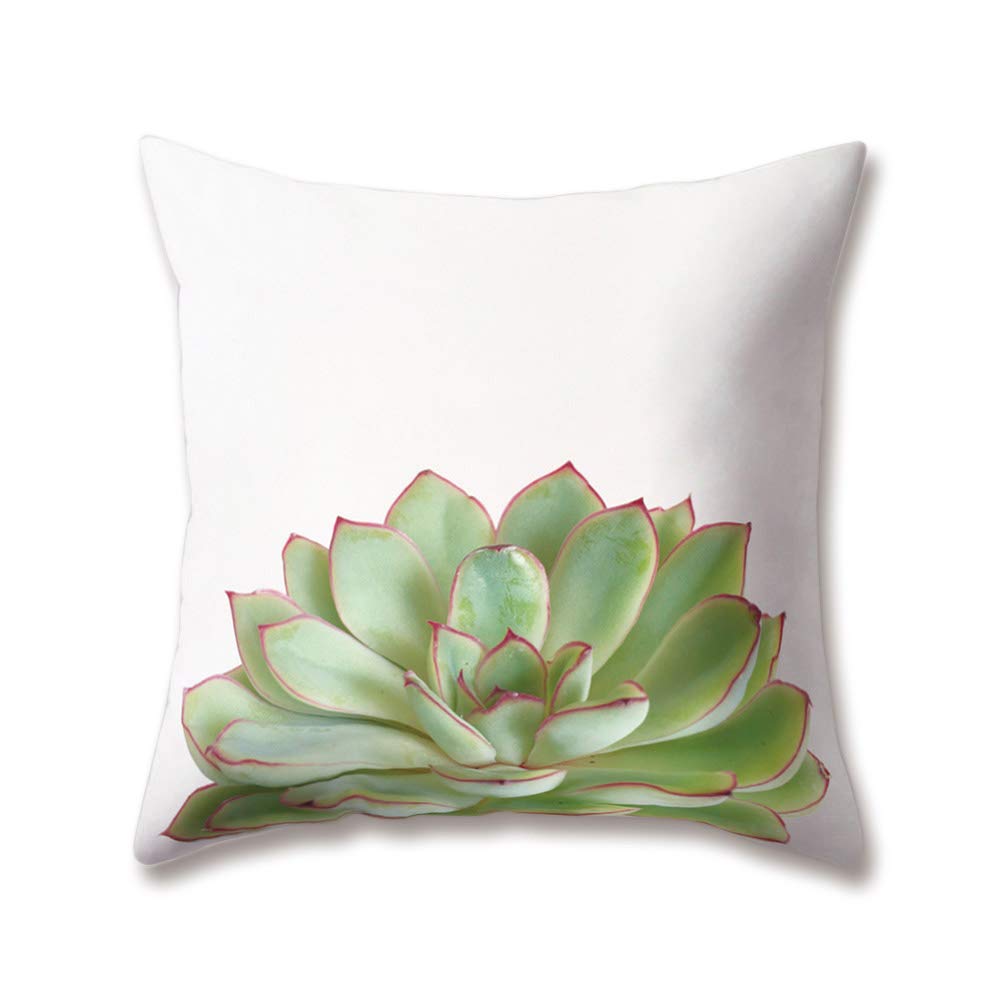 Premium Soft Plush Green Cushion Covers - Nordic Minimalist Style Succulent & Cactus Print (18x18/45x45cm) - Double-Sided Decorative Throw Pillow Cases for Sofa, Bed & Home Decor - Perfect for Living Room, Nursery & Office Accents
