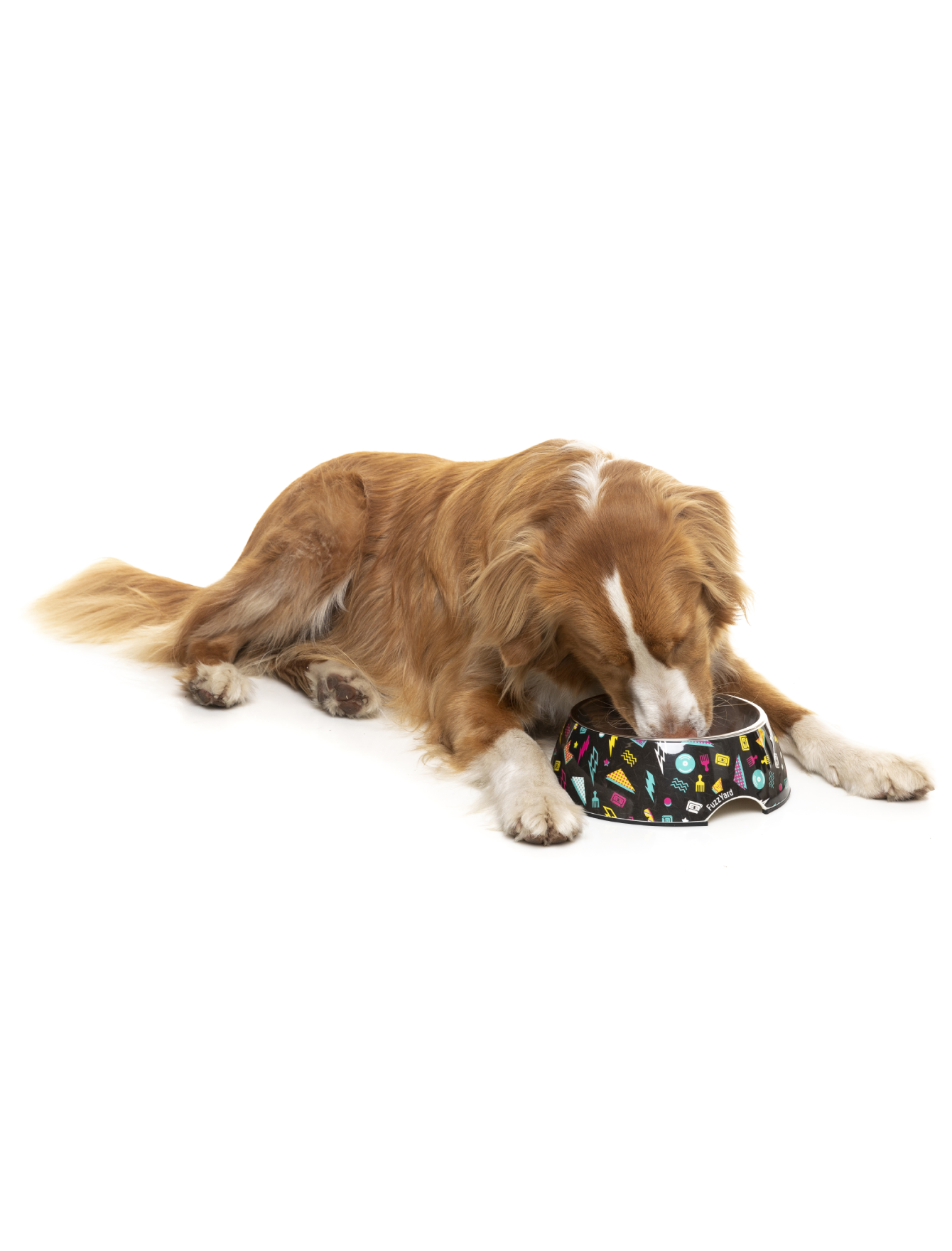 FuzzYard Easy Feeder Pet Bowl for Dogs & Cats - Non-Slip Slow Feeder Dog Bowl with 3 Sizes (Small, Medium, Large) - Perfect for Mealtime, Training, and Portion Control at Home or Travel