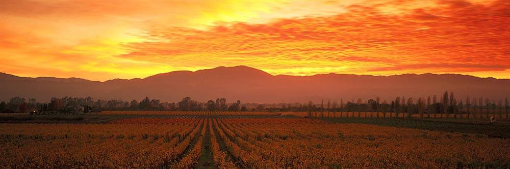 Peel & Stick Wall Mural - Sunset in Napa Valley California | 36x12 Inch Removable Wallpaper | Perfect for Bedroom, Living Room & Office Decor