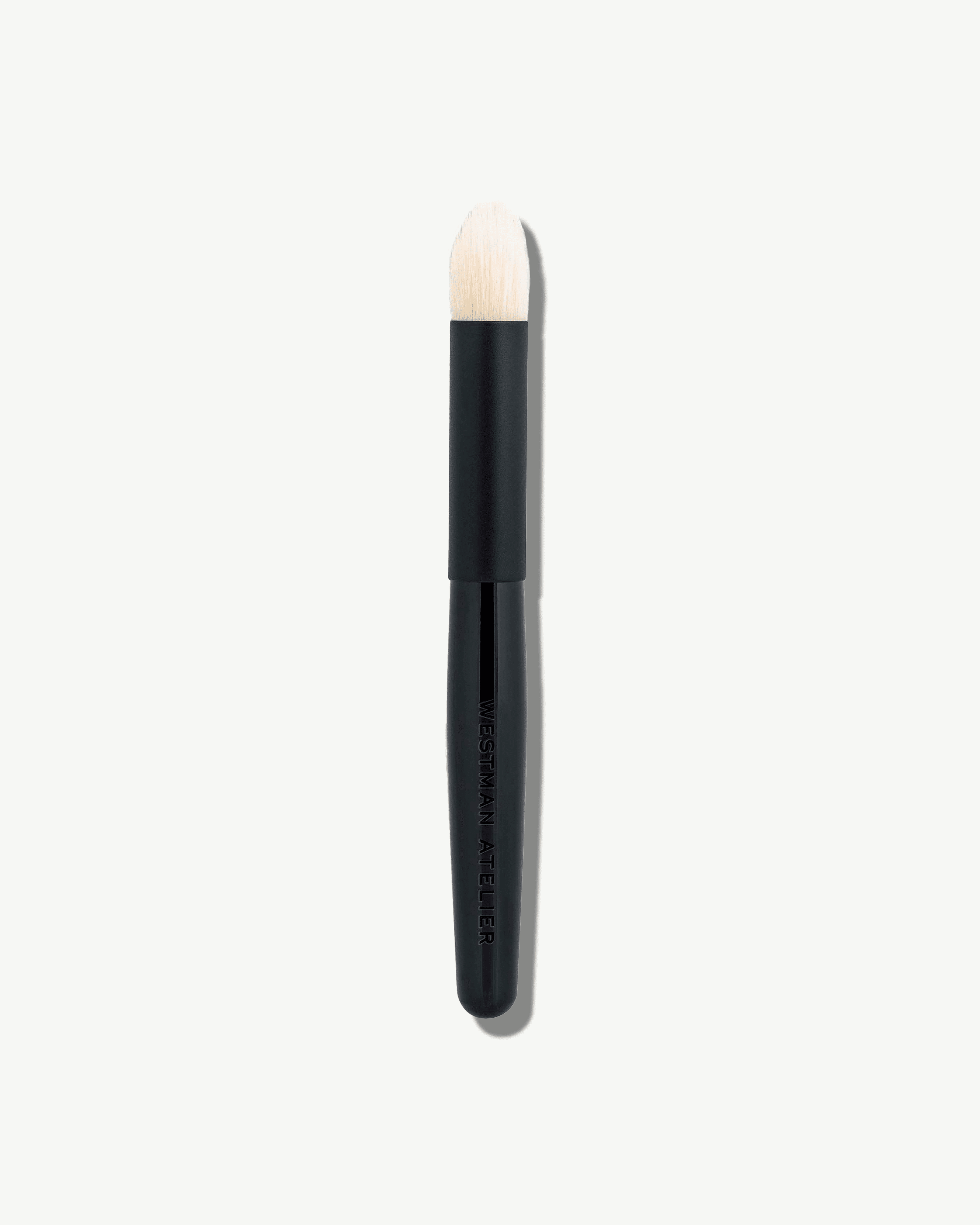 Professional Eye Shadow Brush Set - Soft Bristles for Blending & Shading - Perfect for Makeup Artists & Beginners (Great for Everyday Use & Special Occasions)
