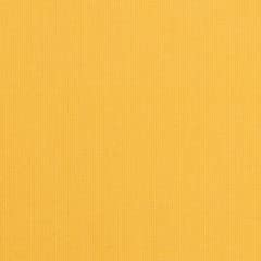 Daffodil