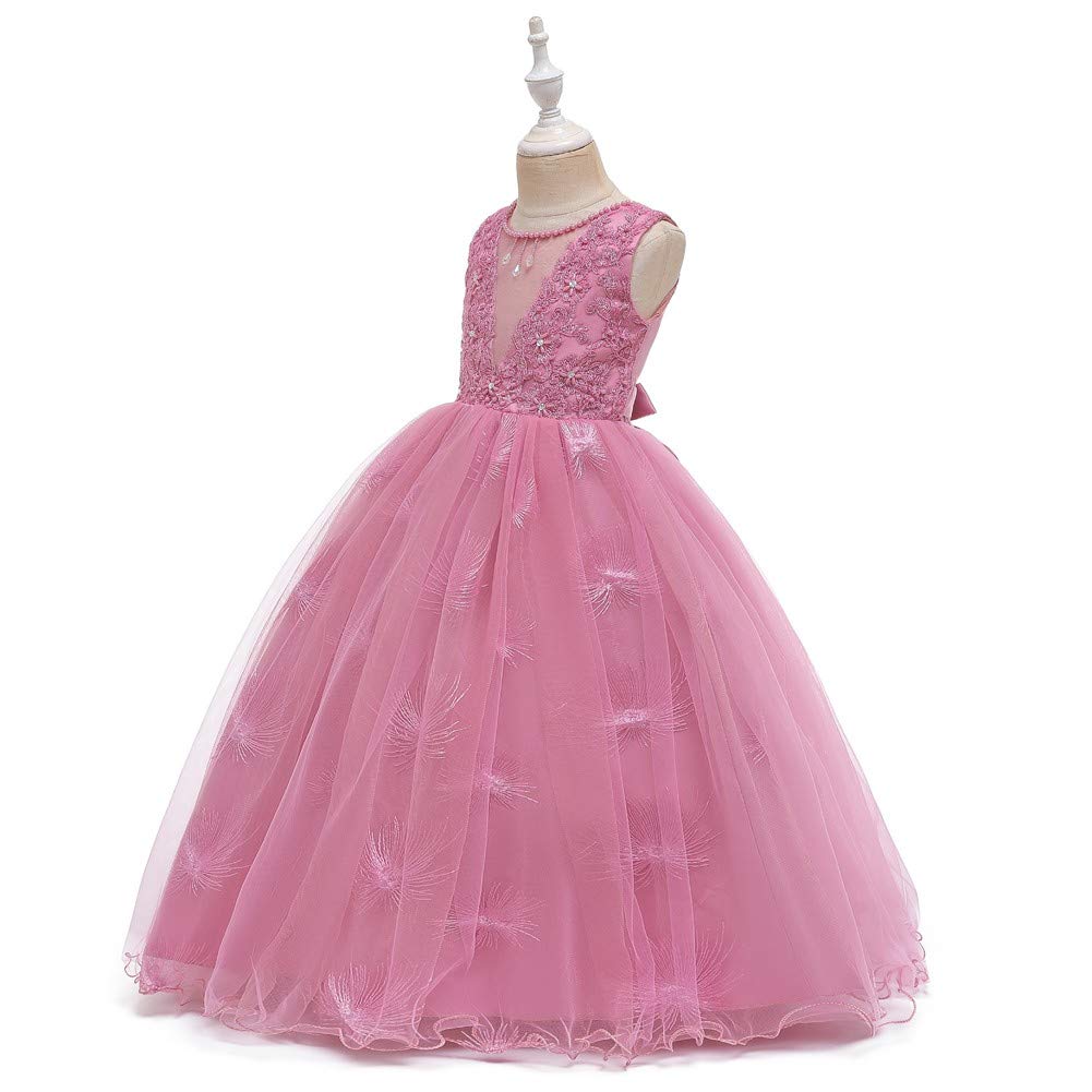 Girls Illusion V-Neck Embroidered Tulle Pageant Dress - Wedding Prom Princess Birthday Party Evening Dance Ball Gown for Pageants Quinceanera First Communion - Flower Girl Baptism Christening Special Occasion Dress