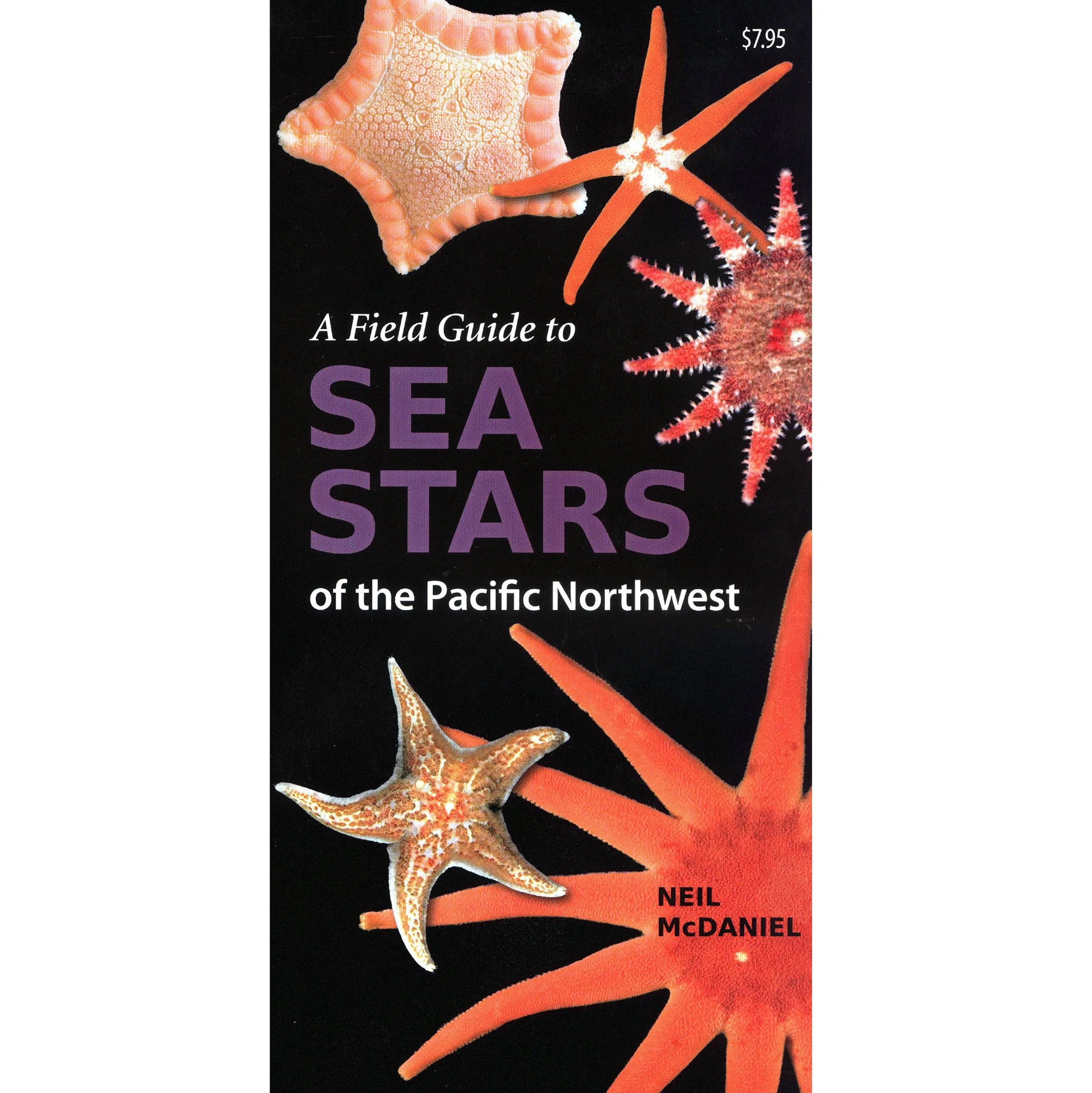 Pacific Northwest Sea Stars Identification Guide - Explore PNW Marine Life & Coastal Wildlife for Beach Hiking & Tide Pool Exploration