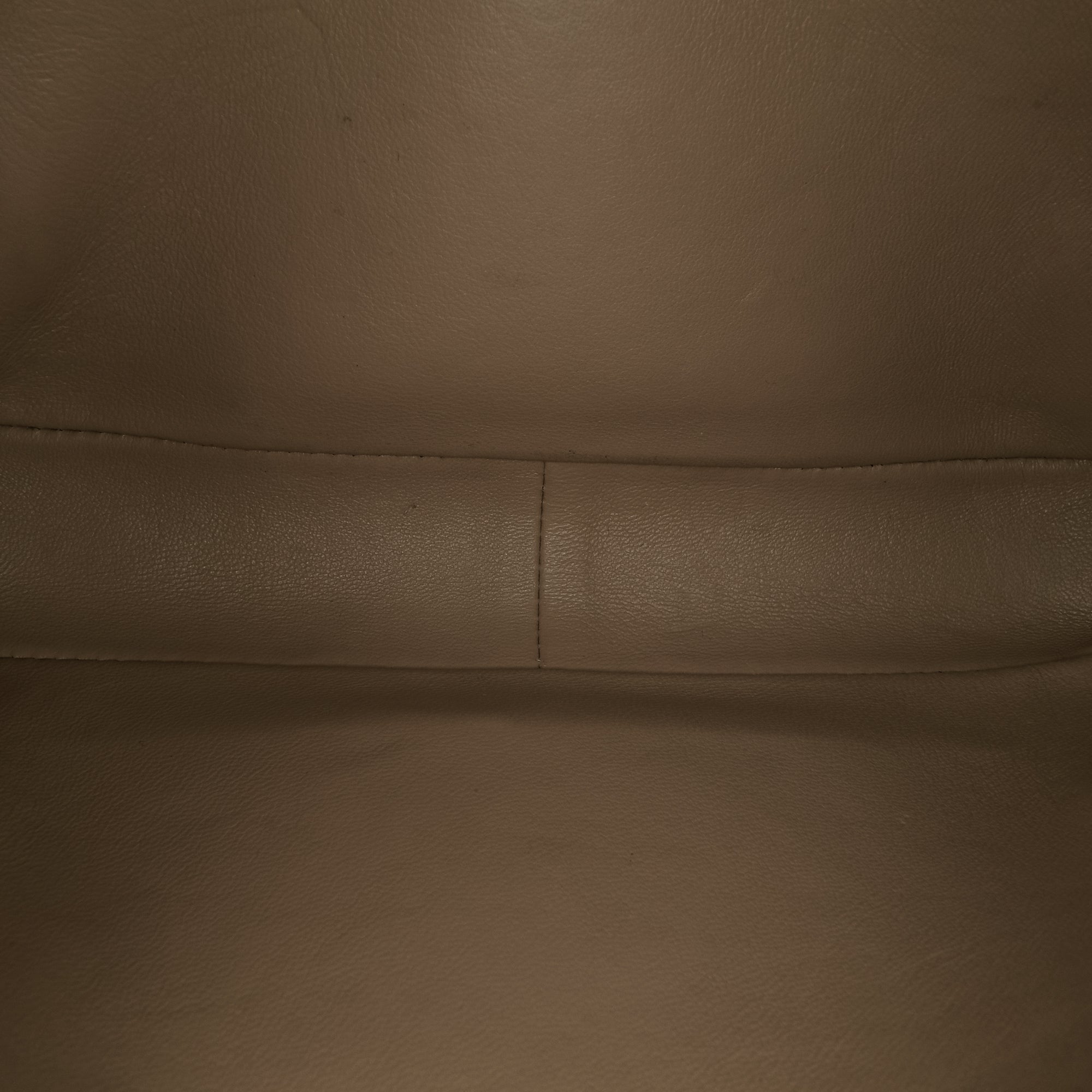 Celine Classique Shiny Calfskin Triomphe Crossbody Bag - Luxury Leather Shoulder Purse for Women | Perfect for Date Night, Office & Evening Events