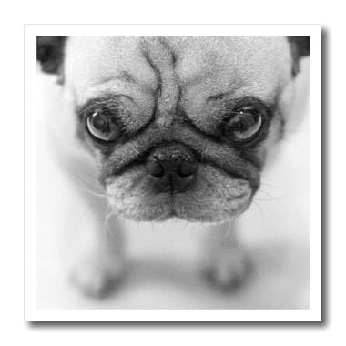 3D Rose Pug Iron-On Heat Transfer for T-Shirts, 8x8 Inch - Perfect for DIY Custom Apparel, Gifts & Craft Projects