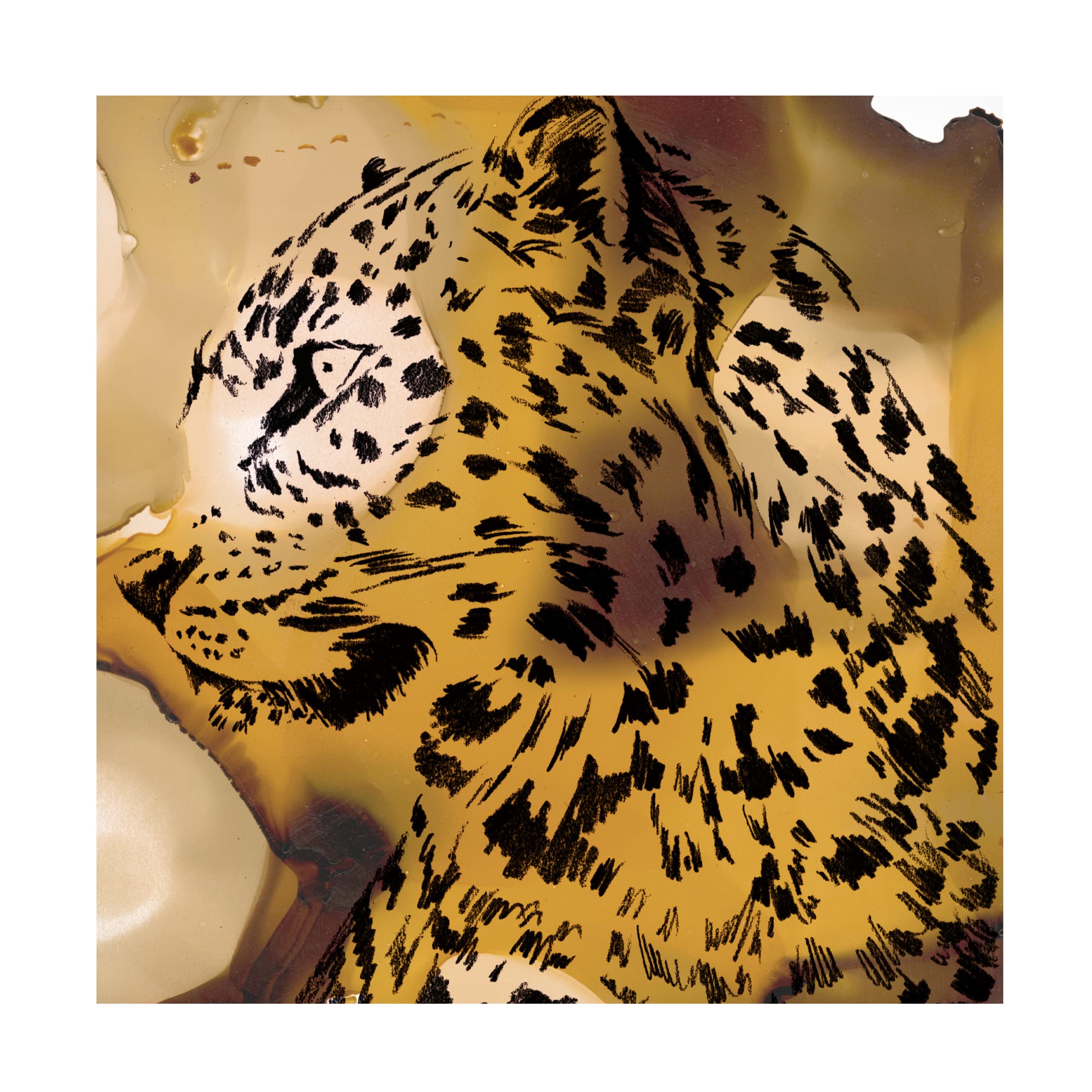 Trademark Fine Art 'Leopard Portrait I' Canvas Wall Art by Jennifer Paxton Parker - Wildlife Home Decor for Living Room, Bedroom & Office