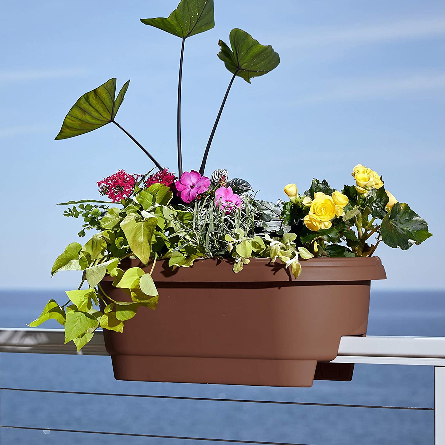 Bloem 24-Inch Deck Balcony Rail Planter Box - Chocolate Brown (Set of 4) - Perfect for Outdoor Gardens, Patios & Apartment Balconies