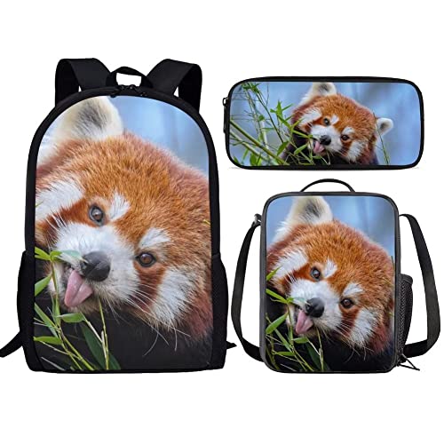 Naughty Red Panda