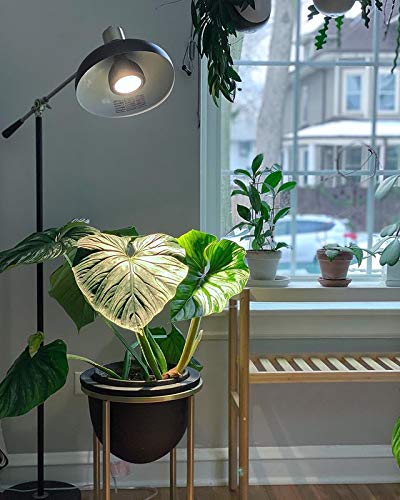 ASPECT Vita™ Full Spectrum LED Grow Light Bulb for Indoor Plants - 20W Dimmable 3000K - Ideal for Houseplants, Herbs & Seedlings (24