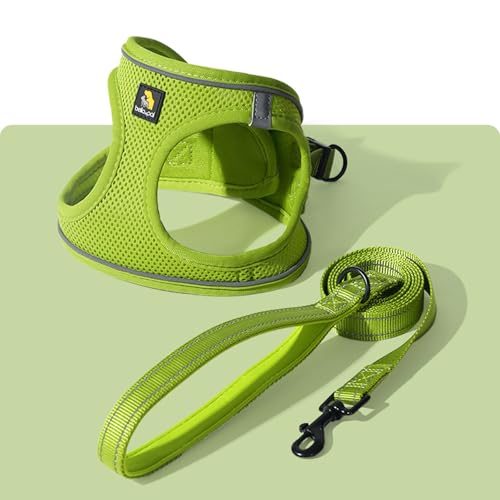 Avocado Green