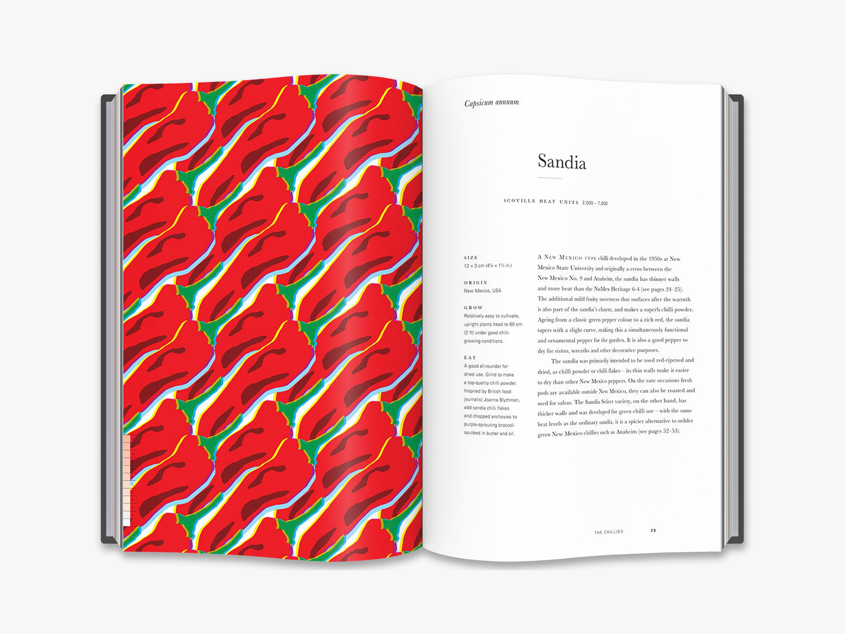 Anarchy of Chillies - Premium Hot Chili Peppers for Cooking, Grilling & Spicy Recipes - Perfect for BBQ, Sauces & Mexican Dishes