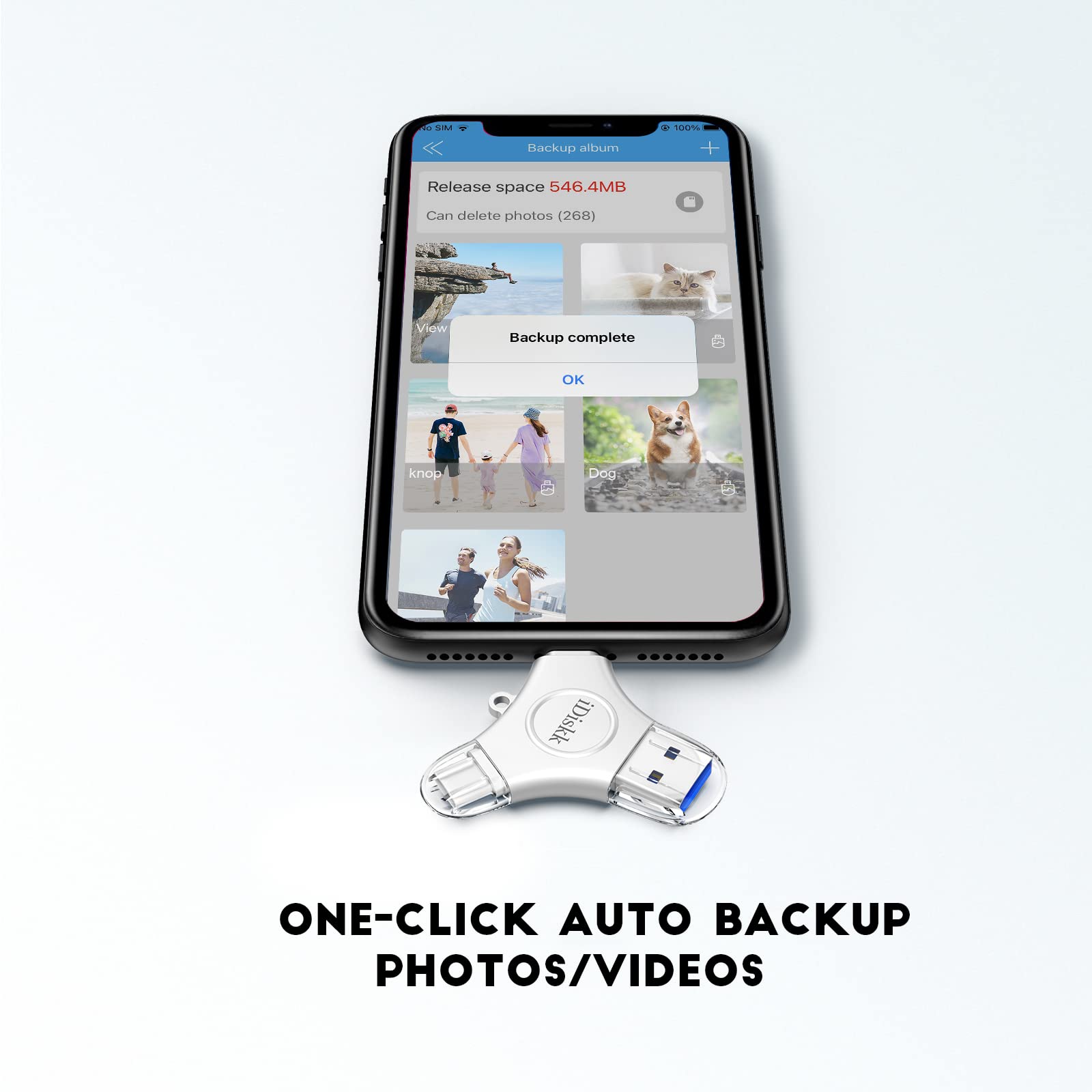 iDiskk 512GB Apple MFi Certified USB Flash Drive for iPhone 16/15/14/13/12/11/XR/X, iPad, Android, Samsung - Photo Storage Stick for MacBook & PC - Backup Photos, Videos, Files on the Go
