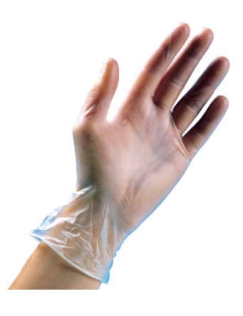 **Powder-Free Clear Vinyl Gloves (Large, 1000 Count) - Disposable, Latex-Free for Food Handling, Cleaning & Medical Use**
