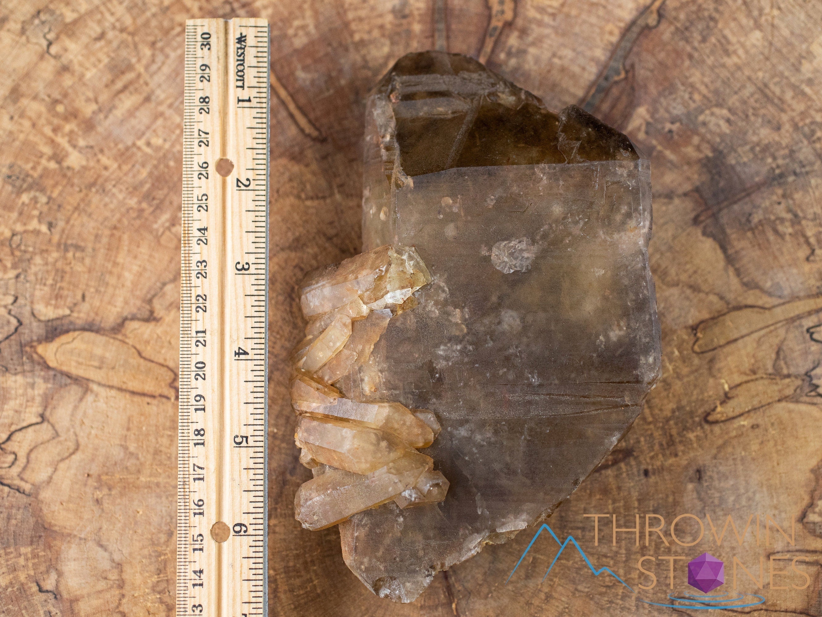Natural Citrine Raw Crystal Point - November Birthstone, Healing Stone, Home & Office Decor, Feng Shui Crystal for Positive Energy - Perfect for Meditation, Gifts & Spiritual Healing