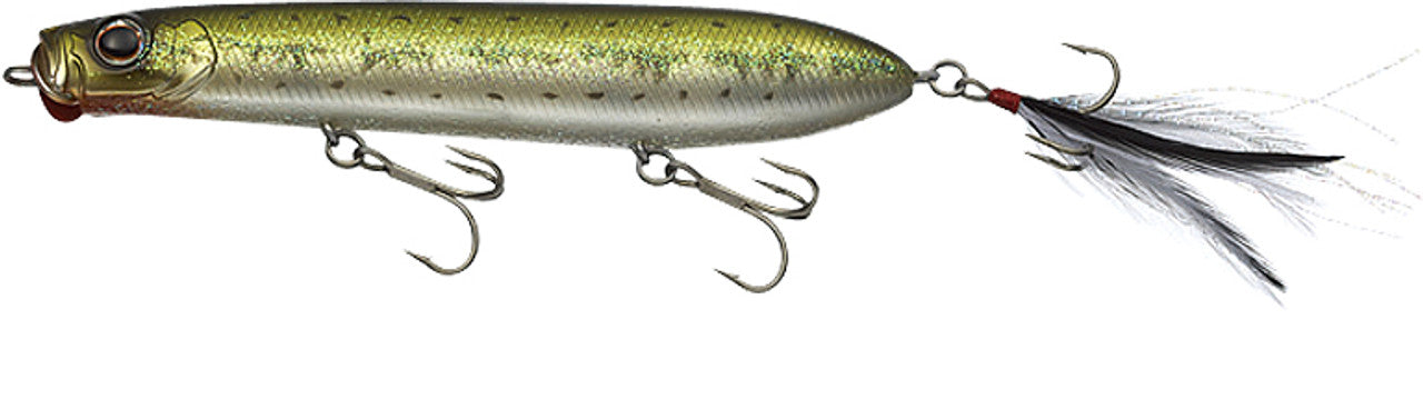 Baby Bass