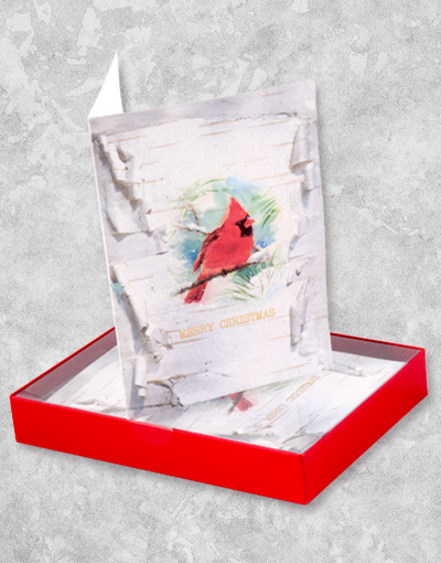 Birch Cardinal Christmas Cards - 16 Count Boxed Set for Holiday Greetings, Festive Decor & Gift Giving