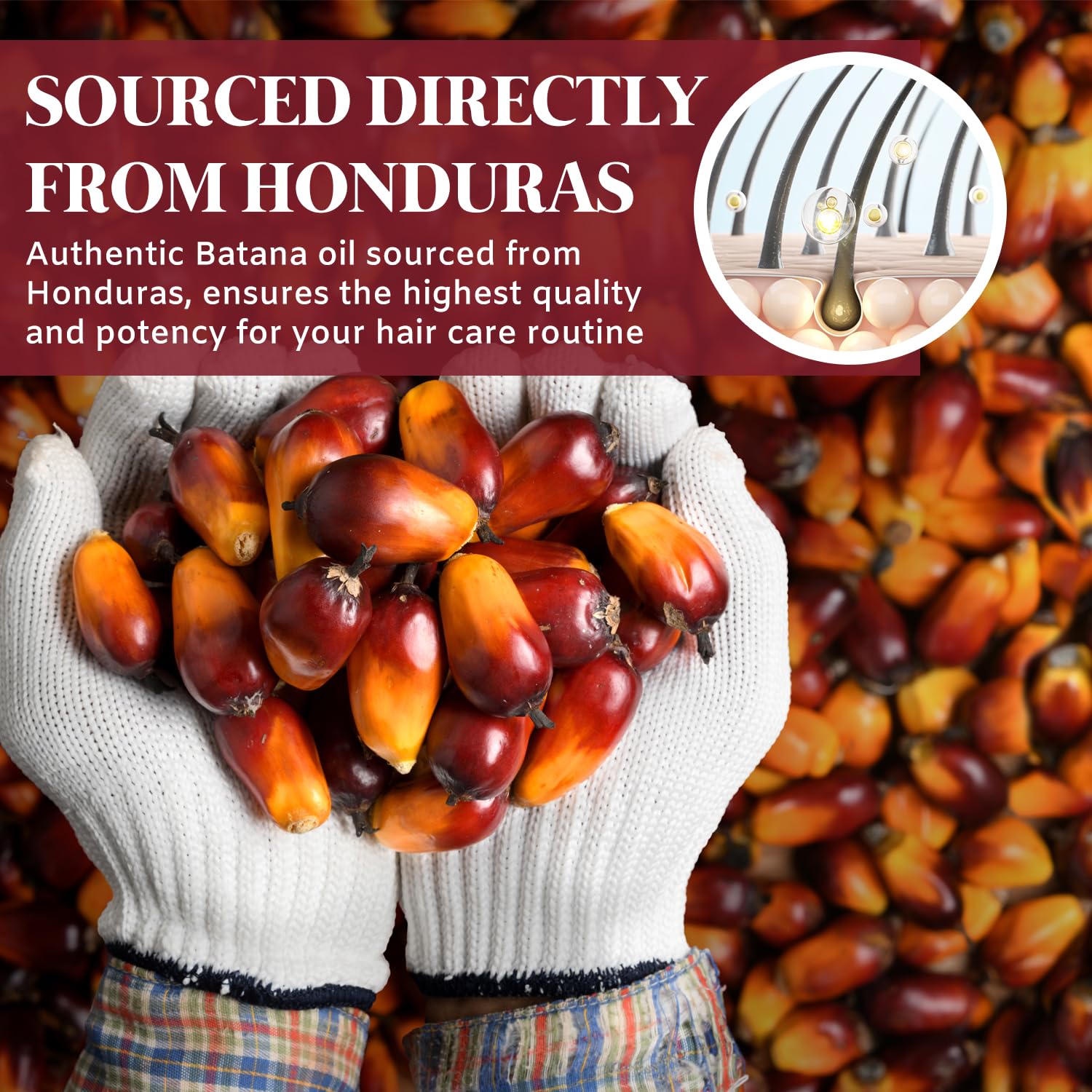 100% Pure Organic Batana Oil for Hair Growth - Unrefined Raw Dr. Sebi Certified Hair Oil from Honduras - Natural Scalp Treatment for Thicker, Stronger Hair - Men & Women - 4.2 oz - Perfect for Daily Hair Care & Revitalizing Damaged Hair