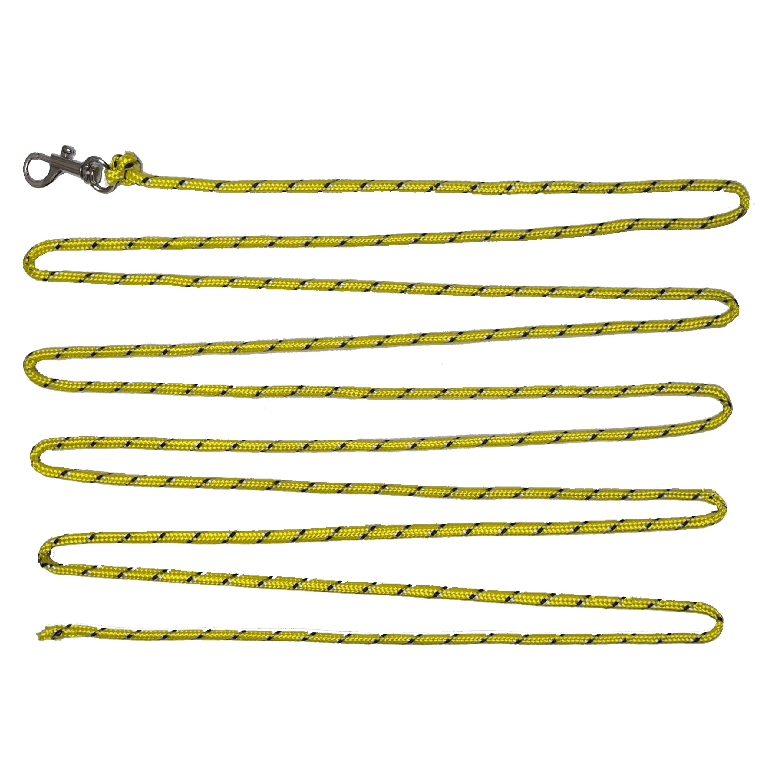 3M High Visibility Nylon Dog Training Leash for Small Dogs & Puppies - Thin Safety Lead with Swivel Hook - Perfect for Obedience Training & Outdoor Recall Practice