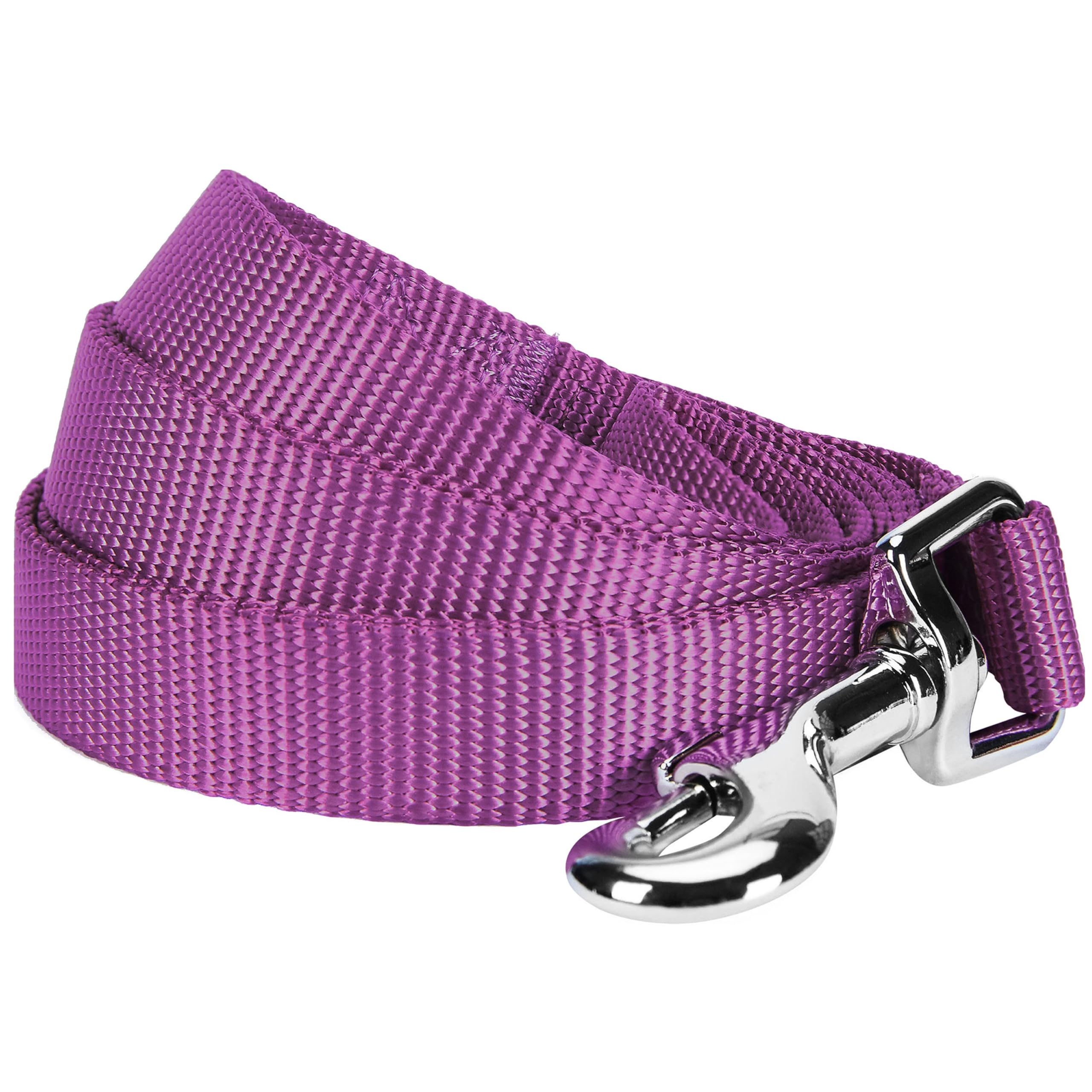Premium Blueberry Pet Essentials Classic Dog Leash - 5ft Nylon Training Leash for Small Dogs | Durable & Lightweight Violet Dog Leash | Perfect for Walks, Jogging & Obedience Training