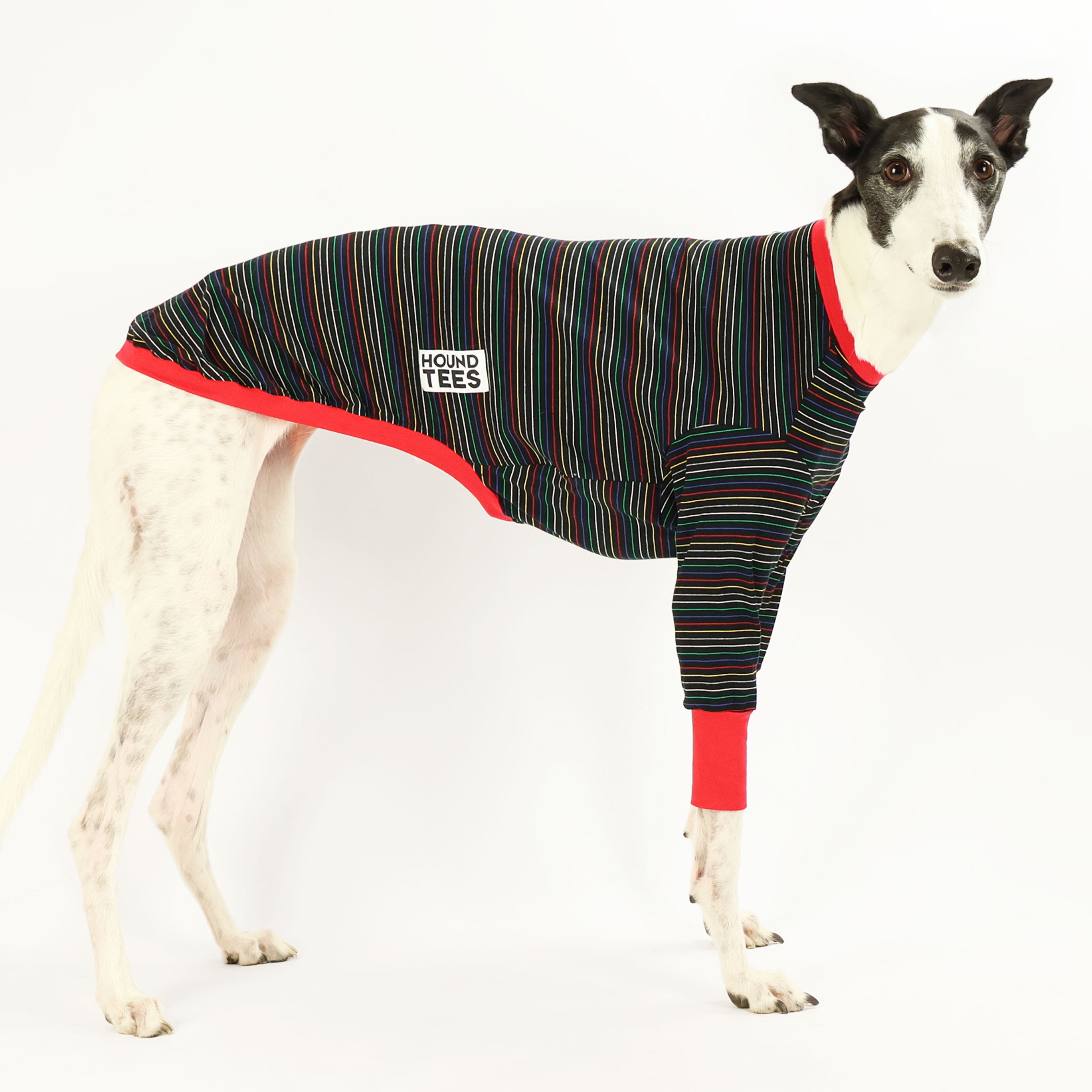 Greyhound Christmas Lights Long Sleeve T-Shirt - Cozy Holiday Dog Lover Apparel for Christmas Parties & Family Gatherings