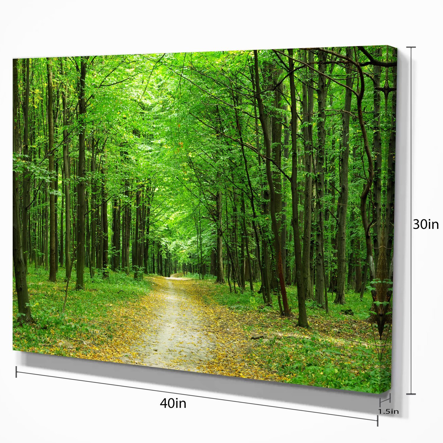 Green Forest Pathway Landscape Photography Canvas Print - Nature Wall Art for Living Room, Bedroom & Office Decor