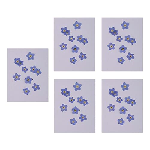 Deevoka 100pcs Natural Pressed Dried Flowers for Resin Art, Scrapbooking, DIY Crafts - Perfect for Jewelry Making, Home Decor & Wedding Invitations