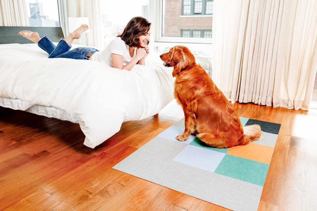 25% OFF: Triluc Non-Slip Washable & Waterproof Pet Mat Set - Navy Blue (4-Piece) - Perfect for Dog Bowls, Cat Feeding Stations & Mess-Free Pet Areas