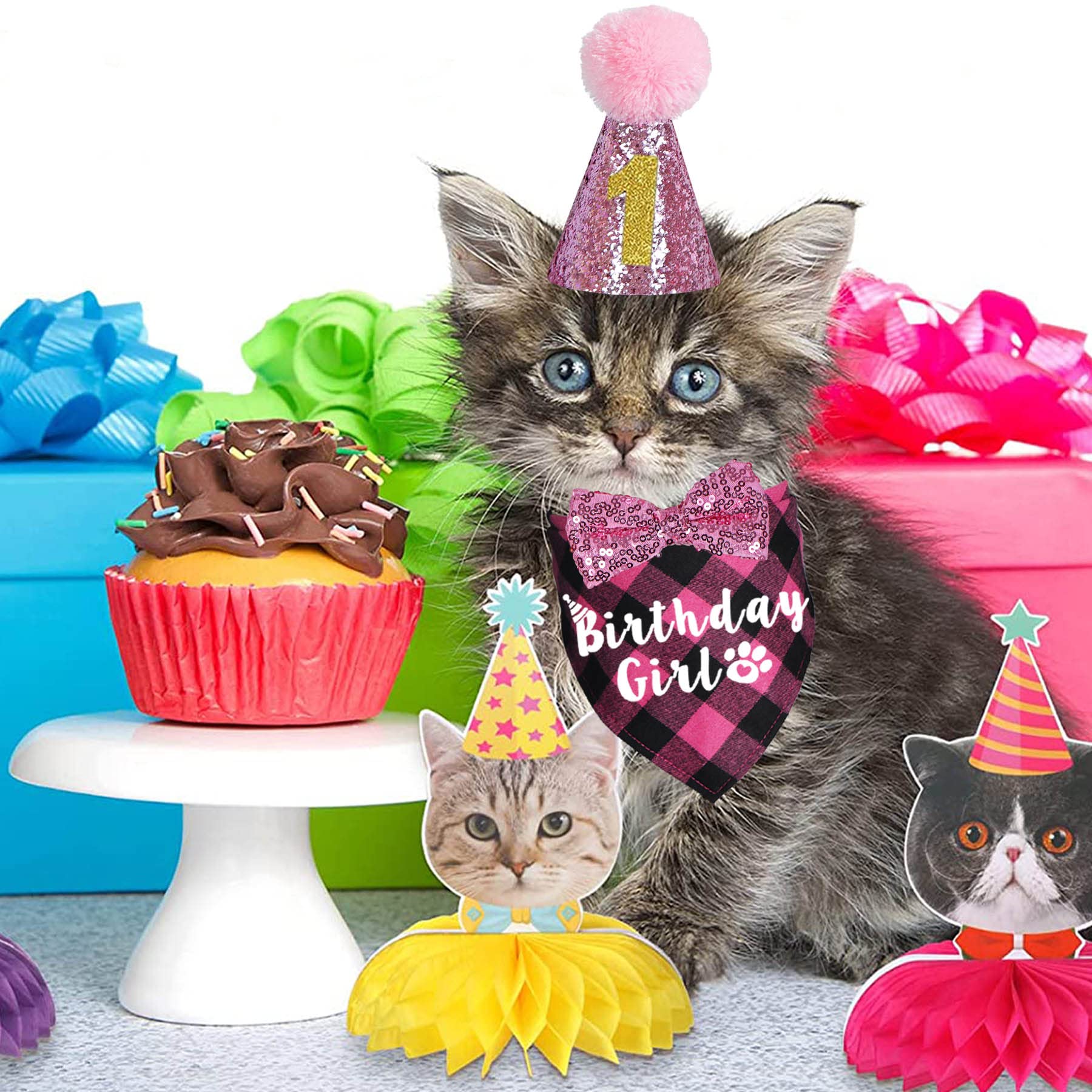 Cat Birthday Party Supplies & Outfits - Bandanas, Hat, Bow Tie for Kitten Birthday Decor (Pink) - Perfect for Pet Celebrations