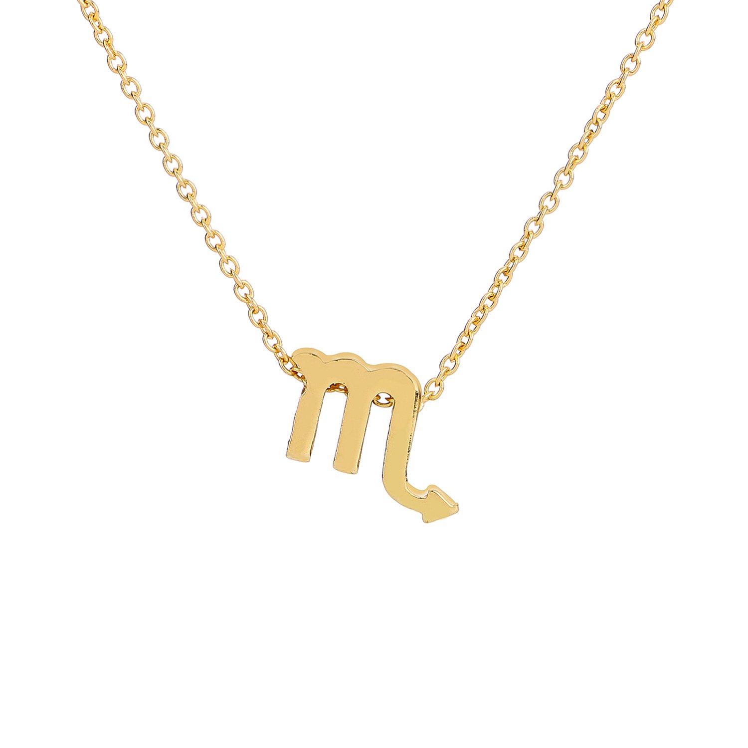 12 Zodiac Necklace for Women - Personalized Astrology Pendant with Horoscope Constellation Charm & Gift Card - Perfect Birthday Gift for Her, Daily Wear & Special Occasions