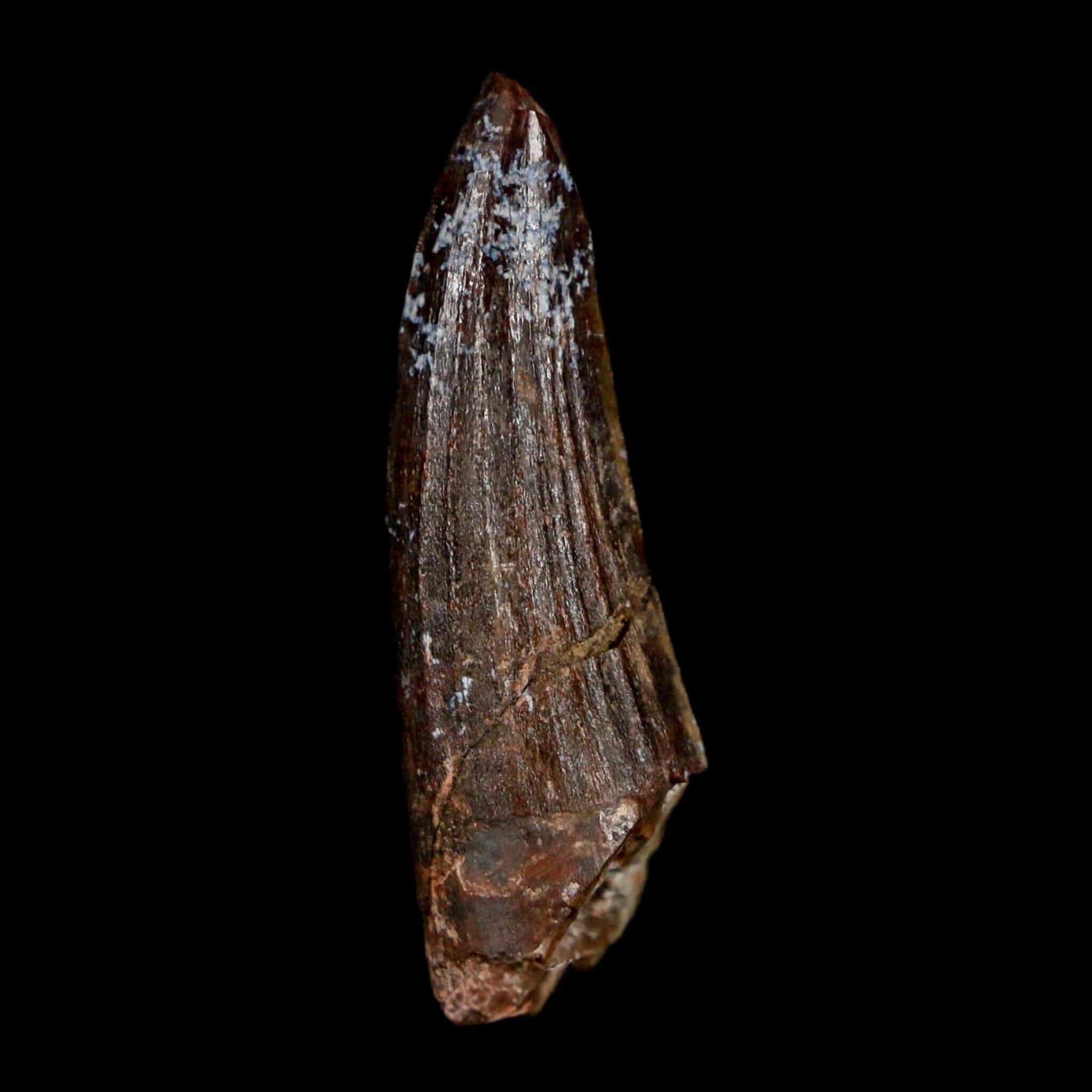 1.3