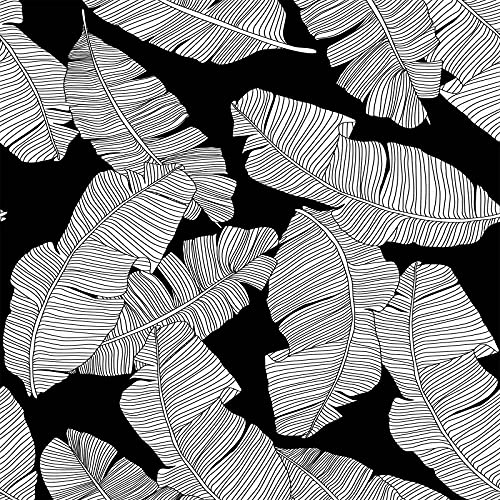 Black Lush Leaf Jungle