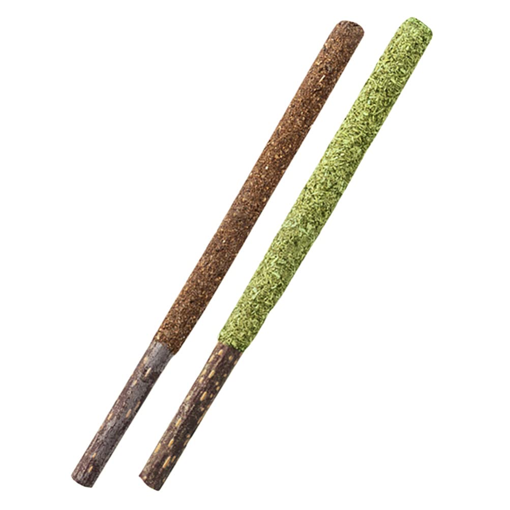 Balacoo 2-Pack Natural Catnip Sticks for Cats - Organic Insect Gall Fruit Cat Chew Toys, Kitten Teething Treats & Interactive Play - Promotes Dental Health, Perfect for Indoor Play & Training Rewards