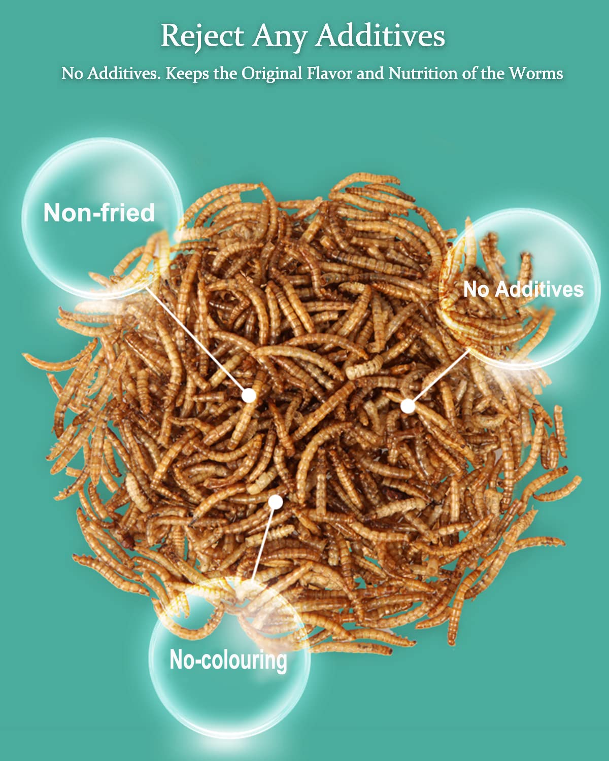 Premium Dried Mealworms for Reptiles & Pets - High Protein Food for Bearded Dragons, Lizards, Turtles, Chameleons, Birds & Small Animals (3.5oz) | Ideal for Feeding Bearded Dragons, Chicken Treats & Wild Bird Food