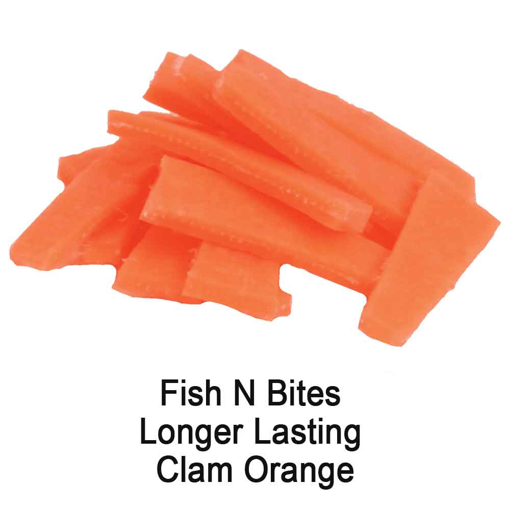 ORANGE CLAM